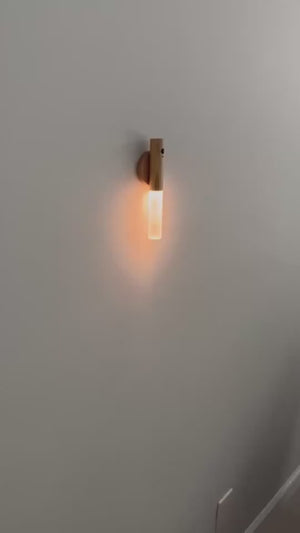 1.mp4